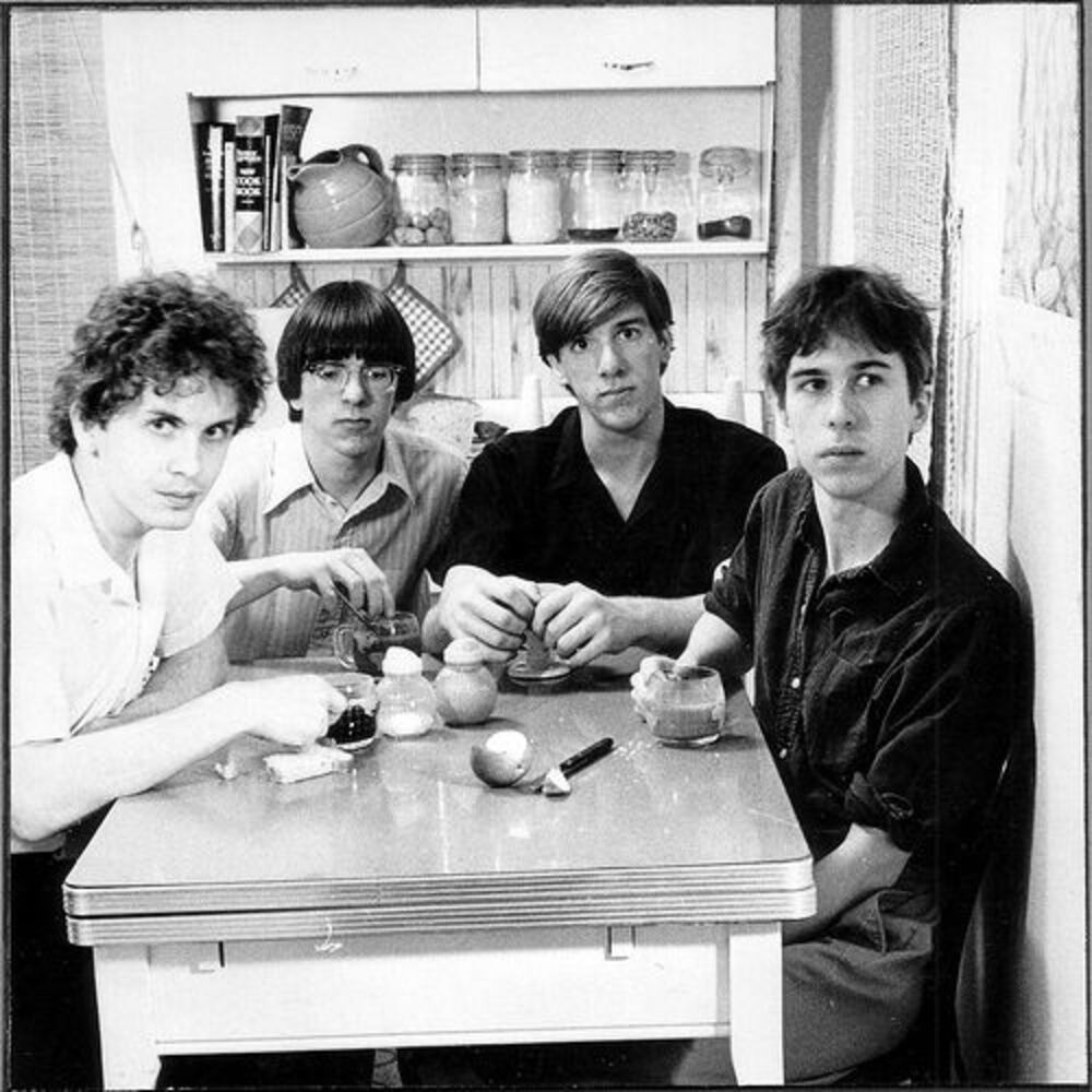 Picture of The Feelies