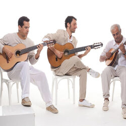 Picture of Trio Madeira Brasil