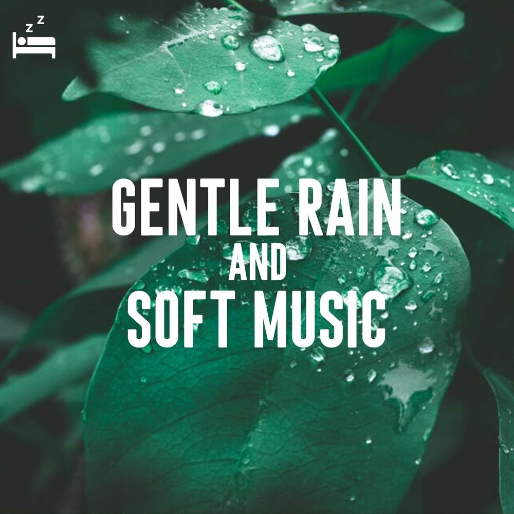 Picture of Rain Sounds Lab