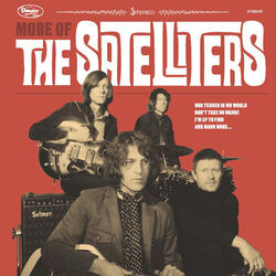 Picture of The Satelliters