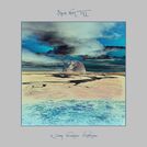 Steve von Till