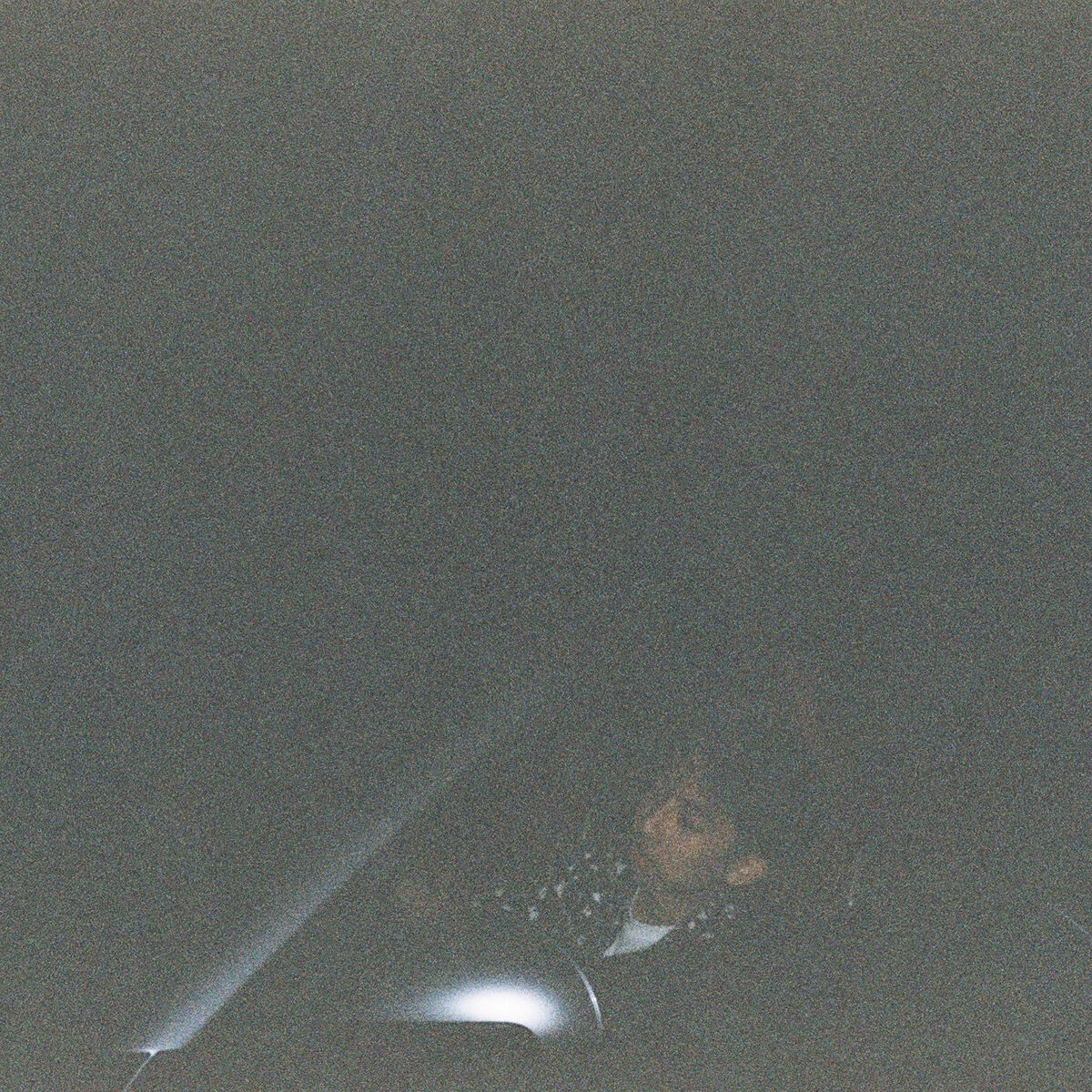 Alan Vuong