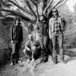 Picture of Quest For Fire