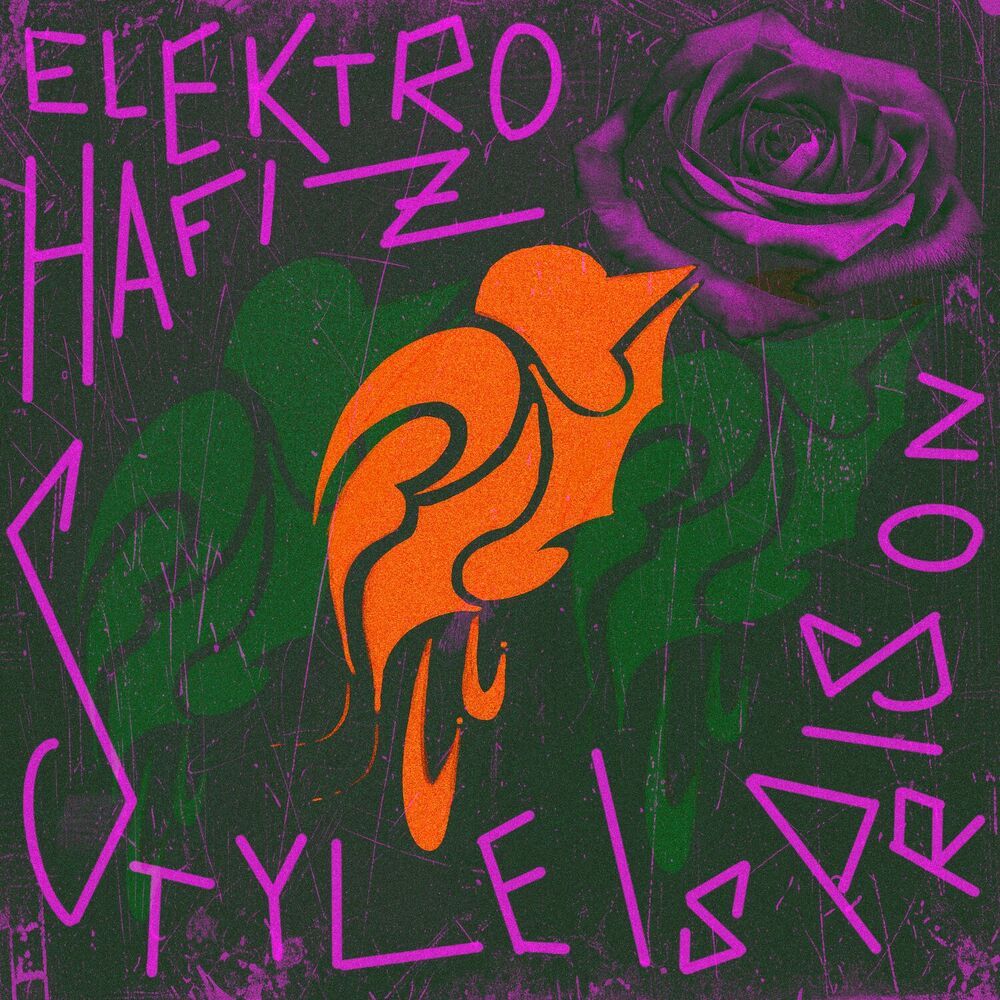 Picture of Elektro Hafız