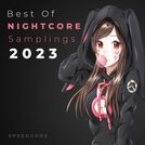 Speedcore