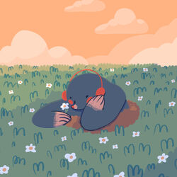 Picture of pucca