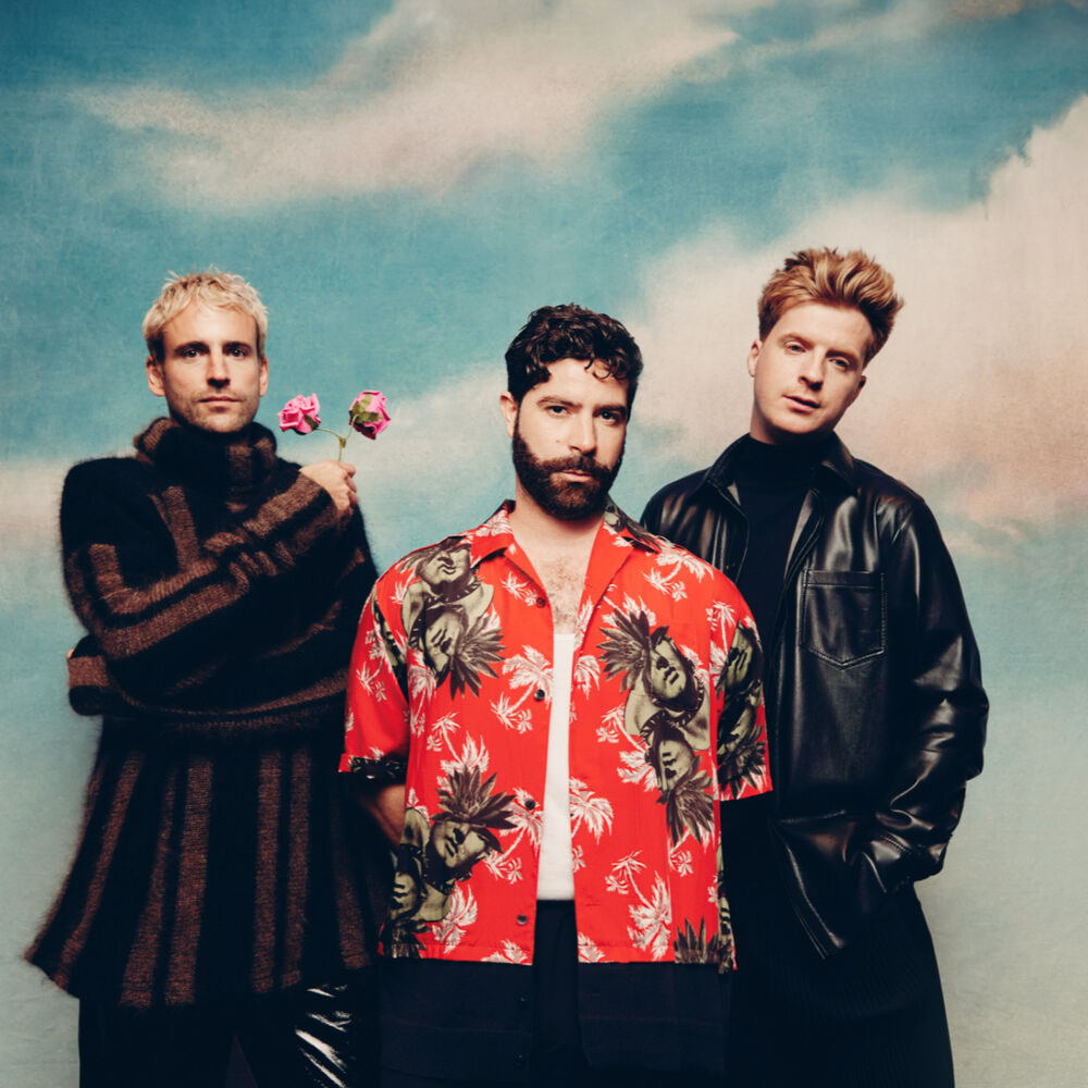Picture of Foals