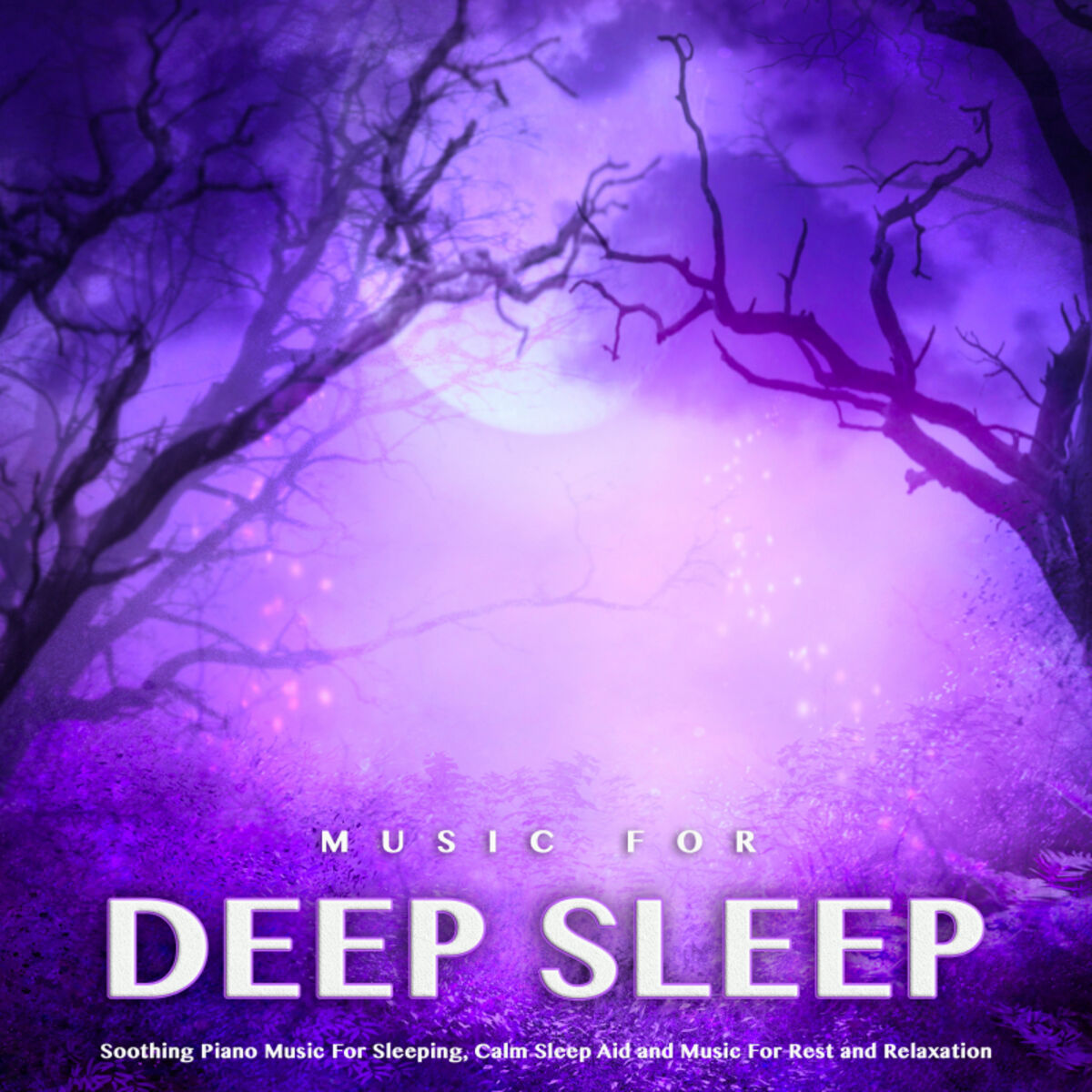 Deep Sleep Music Experience