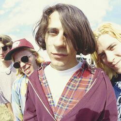 Picture of The Posies