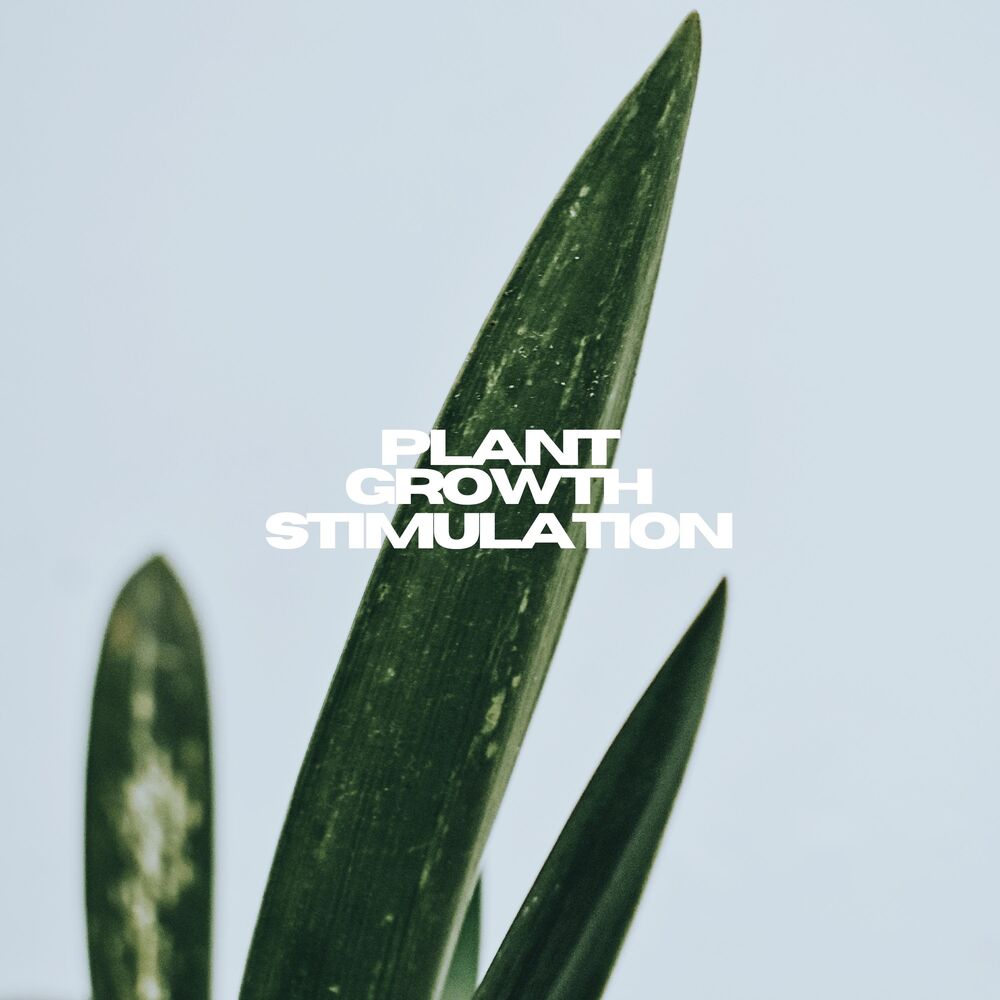 Picture of Plant Growth Stimulation