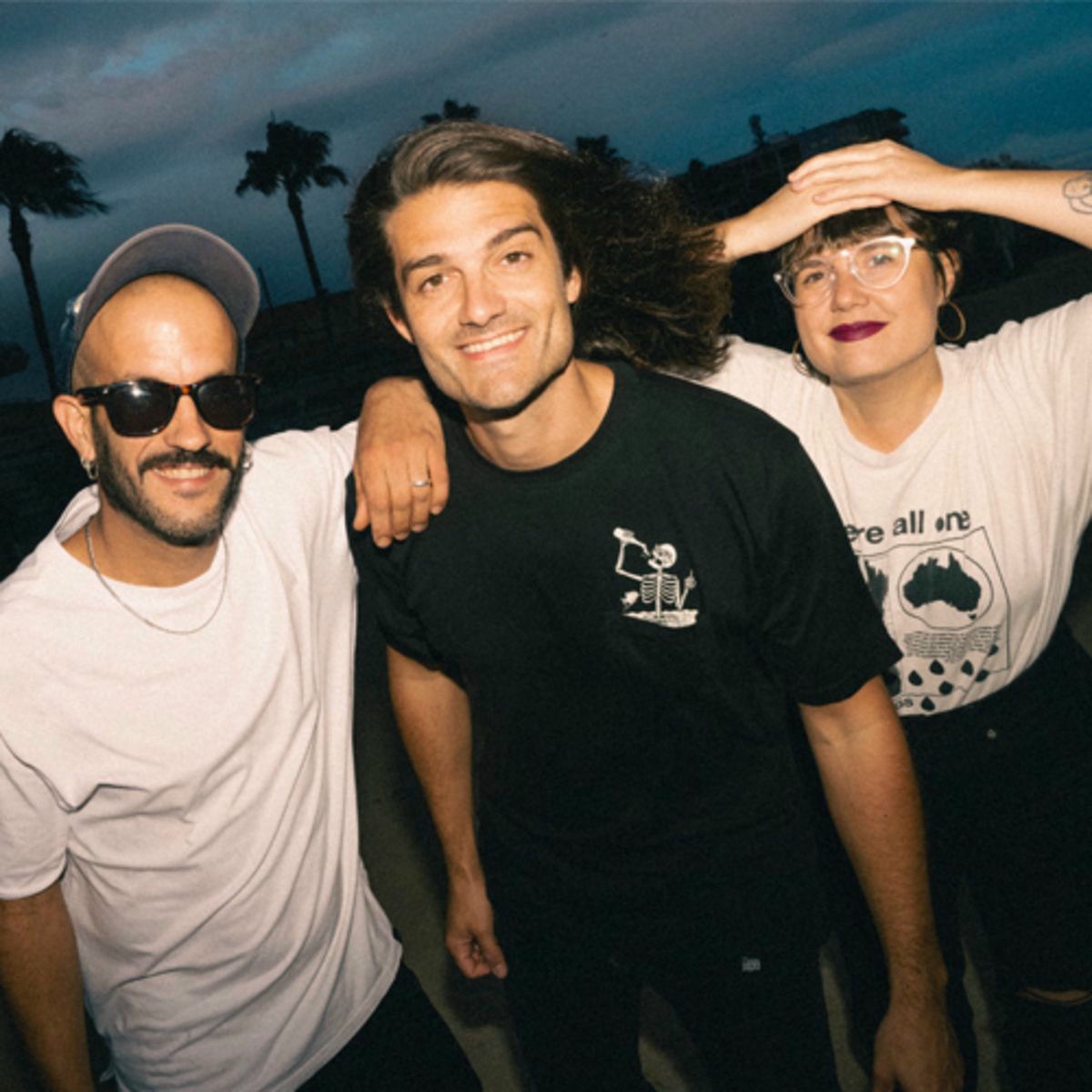 Artist picture of Els Catarres