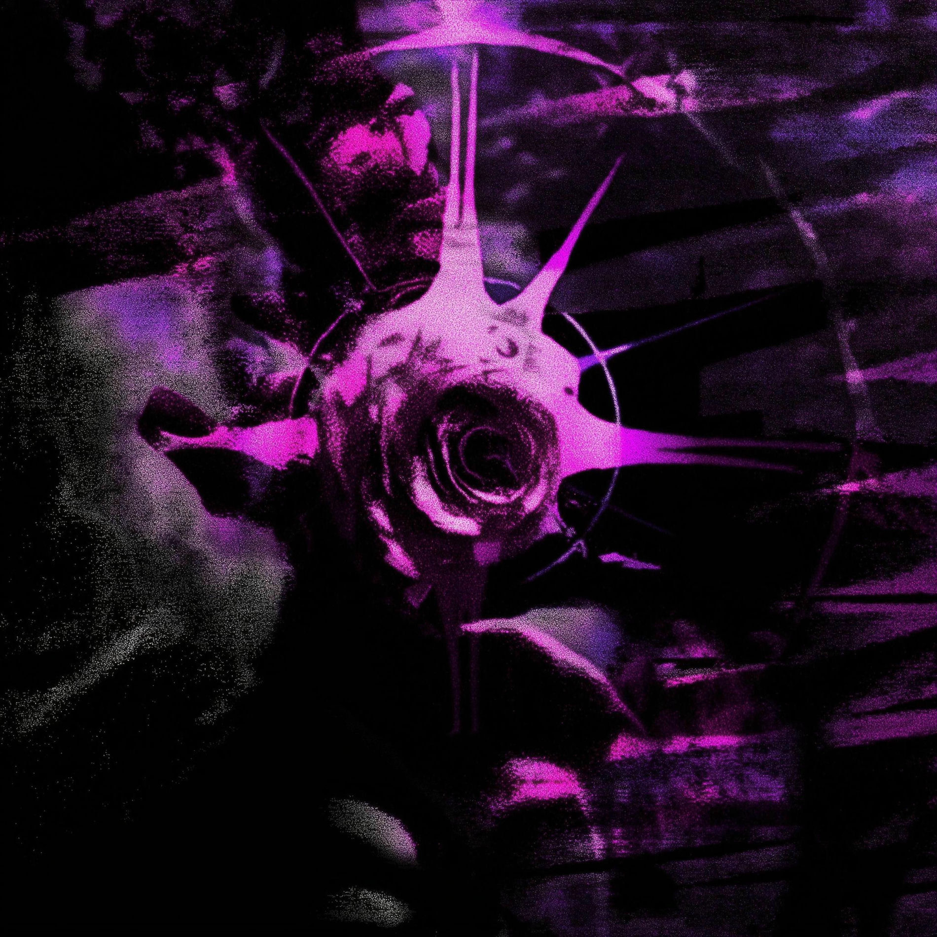 SLXUGHTER