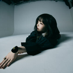 Picture of Aimer