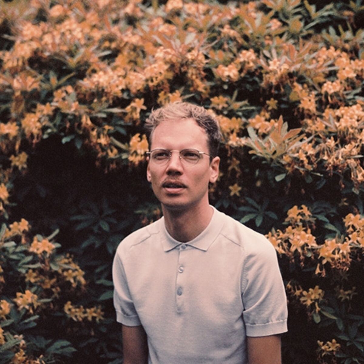 Artist picture of Felbm