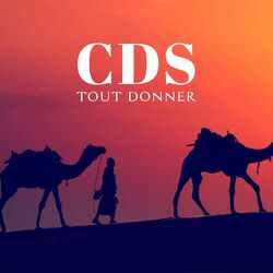 Picture of CDS