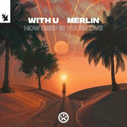 Picture of Merlin
