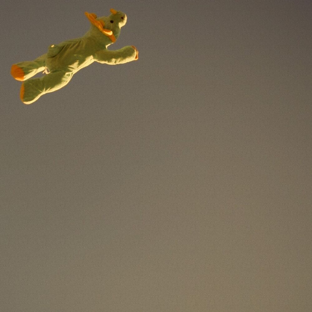 Picture of Steezy Knicks