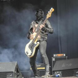 Picture of Midnight