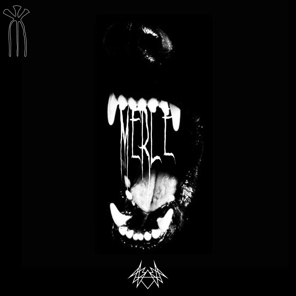 Photo de l'artiste Merle