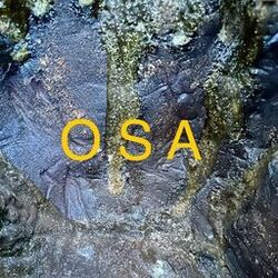 OSA