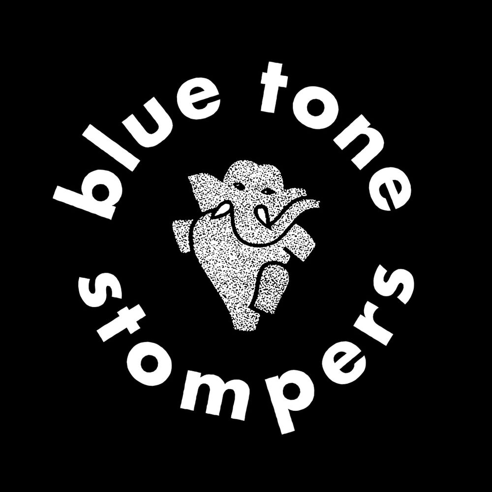 Picture of Blue Tone Stompers