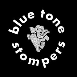 Picture of Blue Tone Stompers
