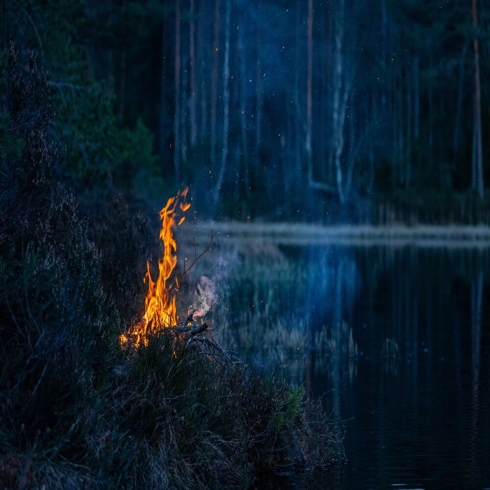 Picture of Feel The Nature