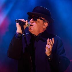 Picture of Suggs