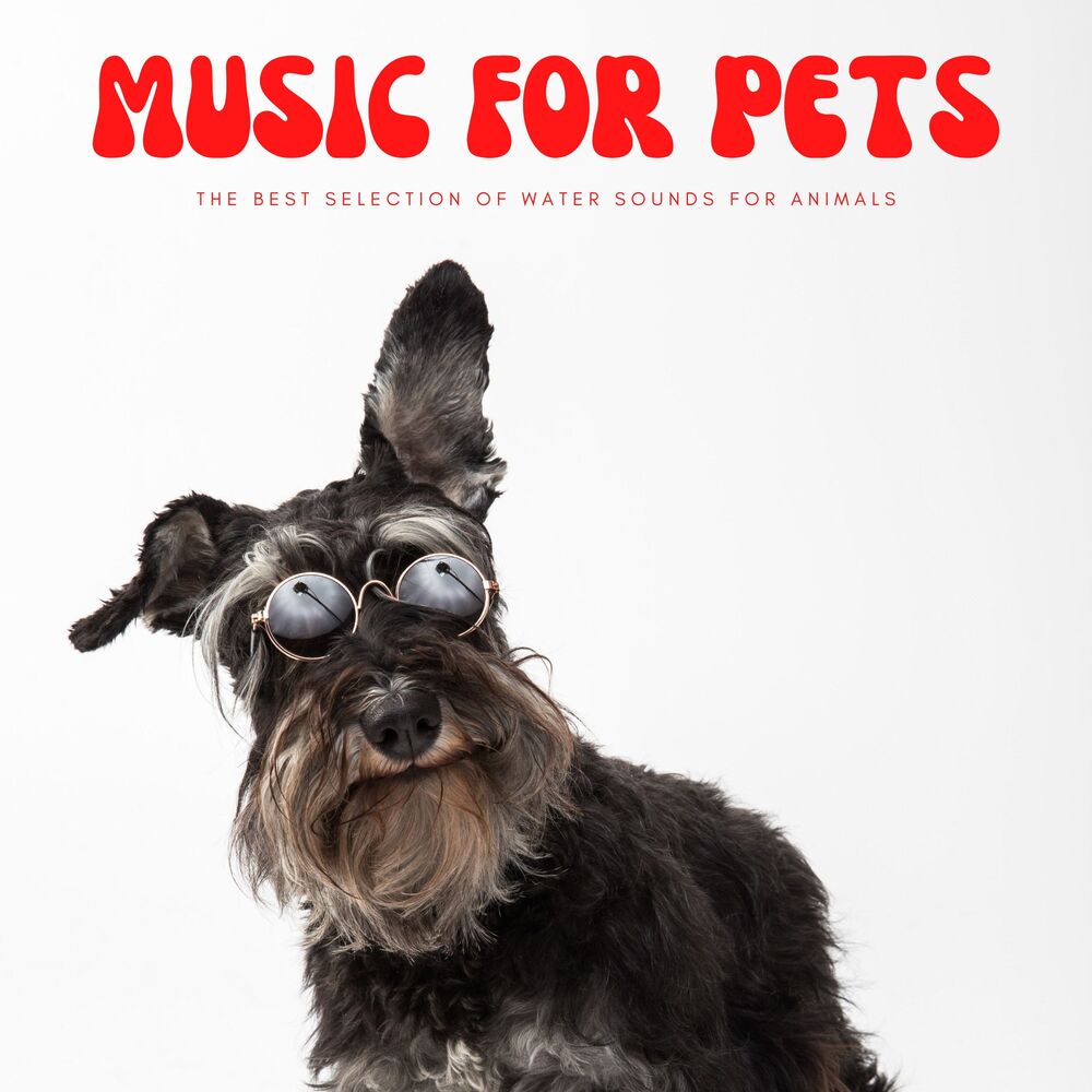 Picture of Happy Playlisted Music