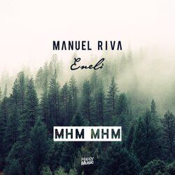 Picture of Manuel Riva
