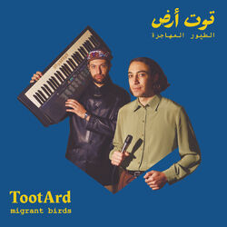 Picture of Tootard