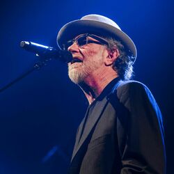 Picture of Francesco De Gregori