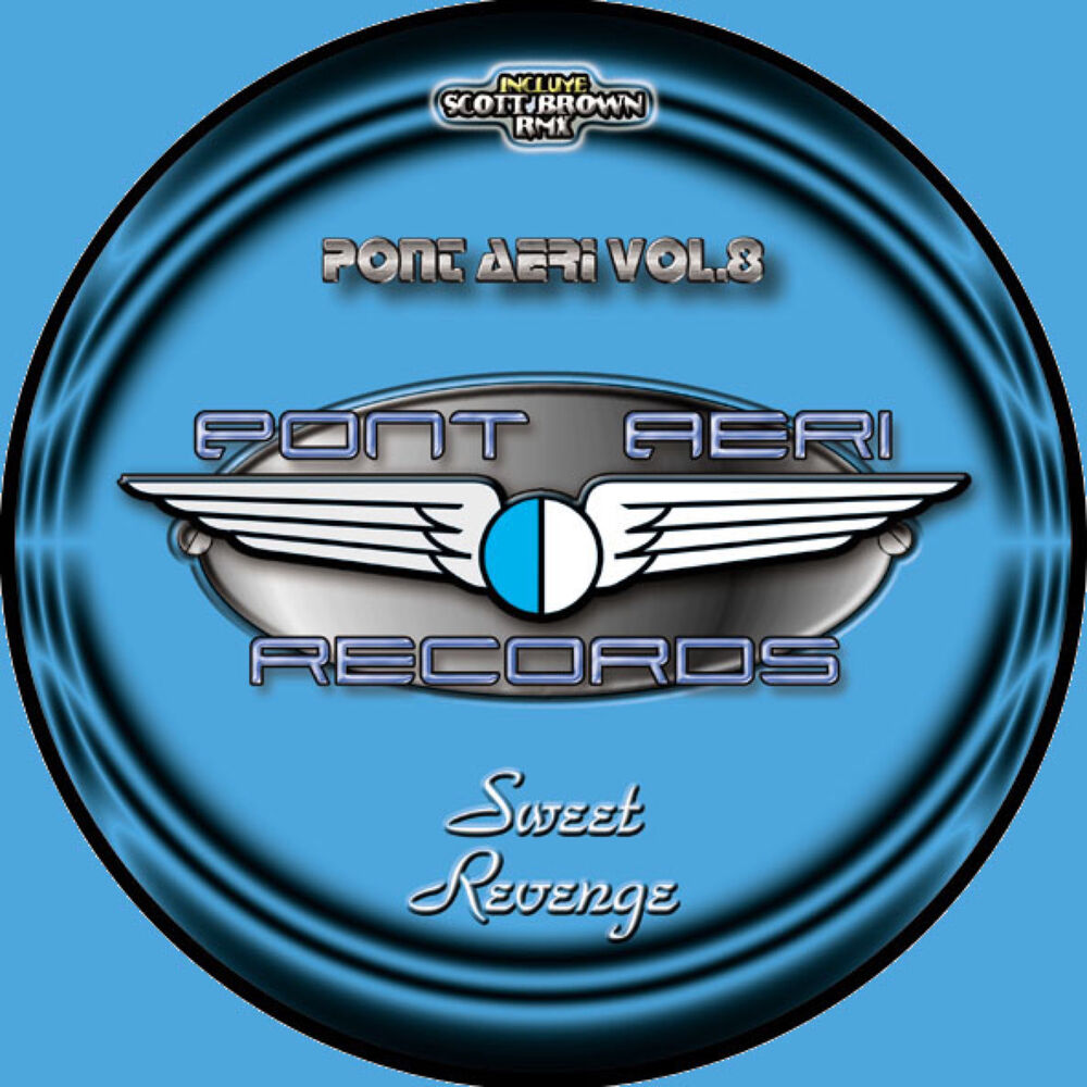 Picture of Pont Aeri vol.8