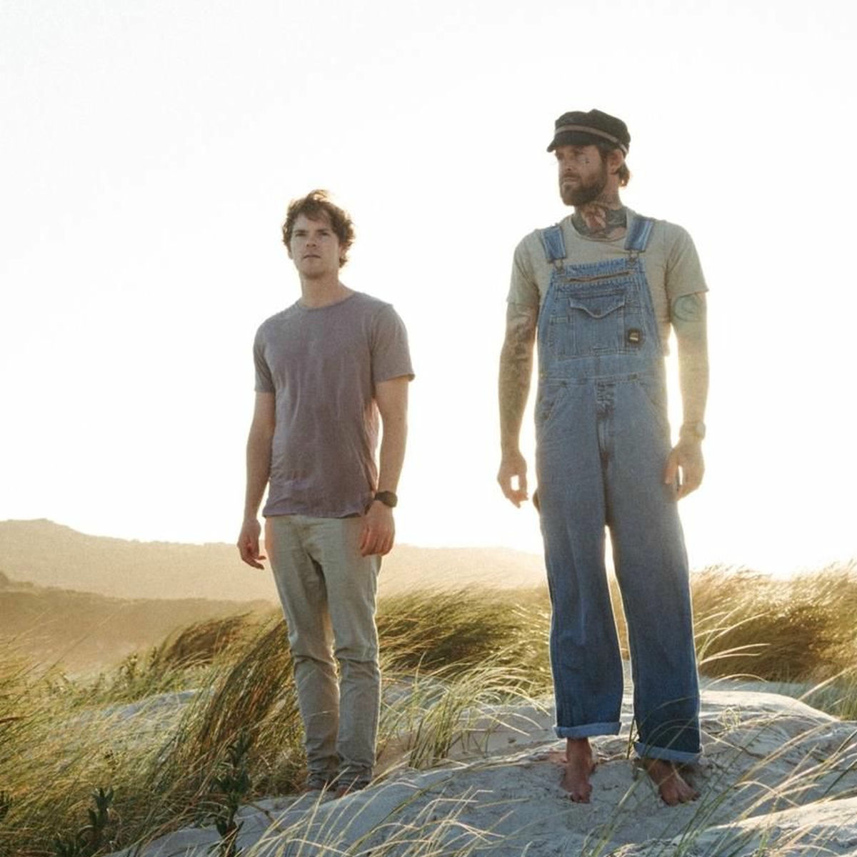 Artist picture of Salt Tree