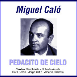 Picture of Miguel Calo