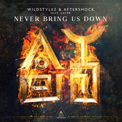 Picture of Aftershock
