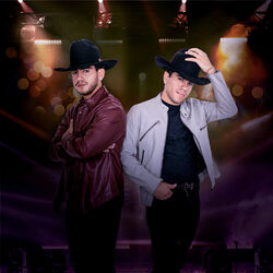 Picture of Vena De Rey