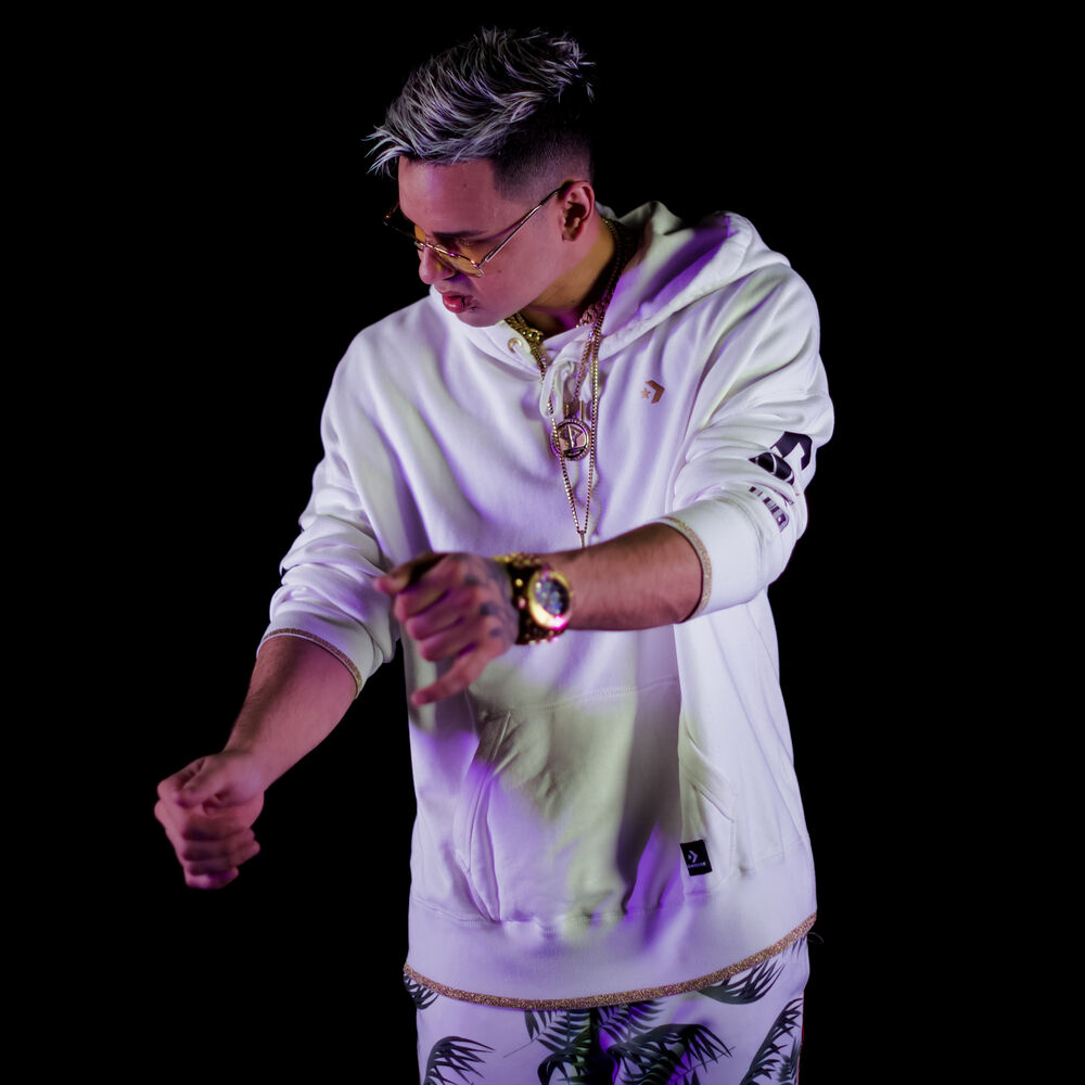 Picture of Papichamp