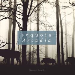 Picture of Sequoia
