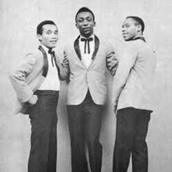 Picture of The Gaylads