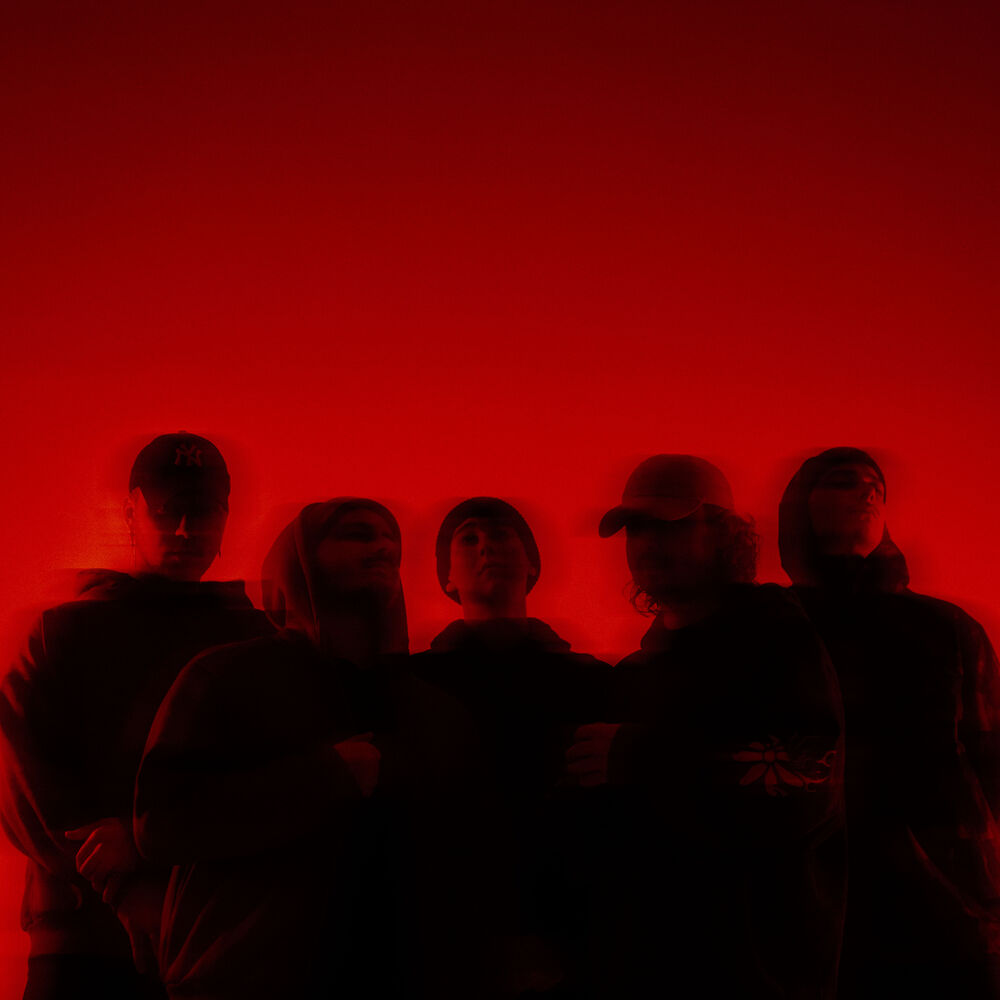 Picture of ACCVSED