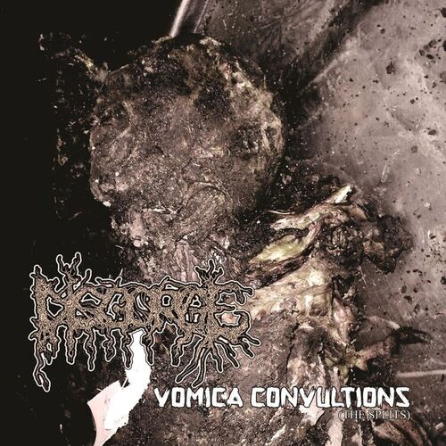 洋楽 Disgorge(mex) Disgorge Mex: albums, songs, concerts | Deezer