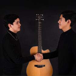Picture of Efecto Elegante
