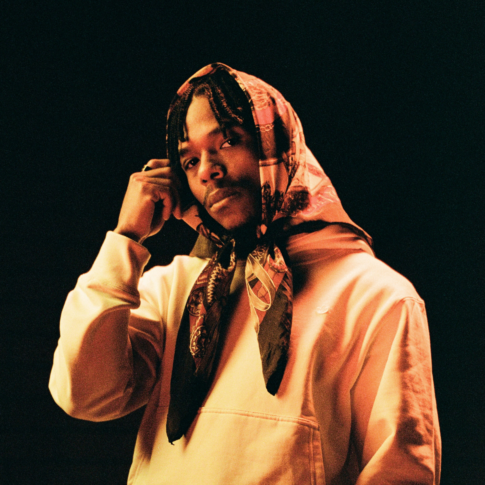 Artist picture of BERWYN