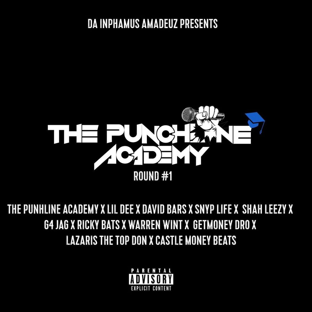 Picture of The Punchline Academy