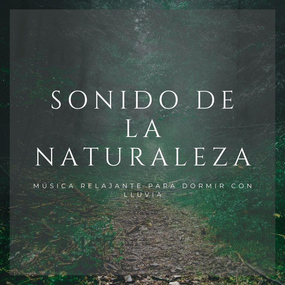 Picture of Sonidos de lluvia y tormentas fuertes