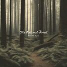 The National Forest
