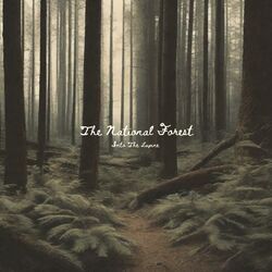 Picture of The National Forest