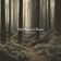 The National Forest