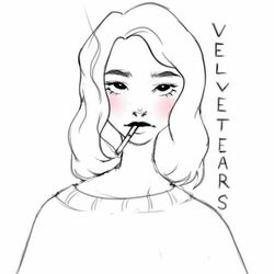 Picture of VELVETEARS